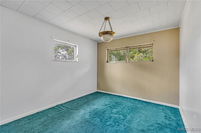 spare room featuring carpet floors and a wealth of natural light