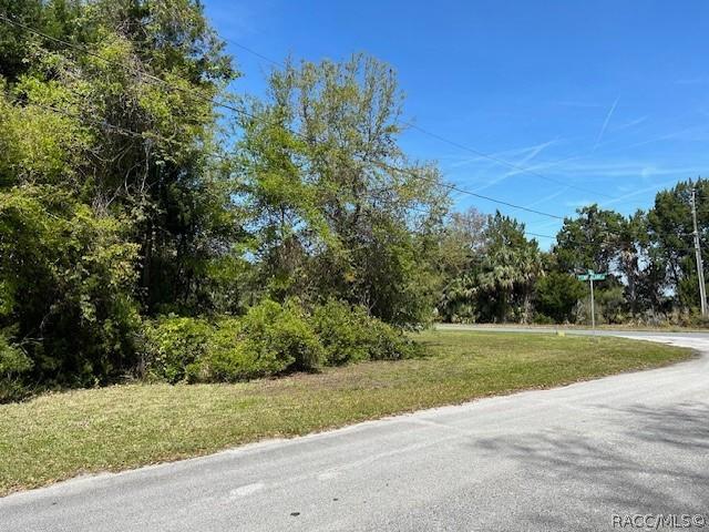 4816 S Trail Way, Homosassa, FL 34448 - photo 5