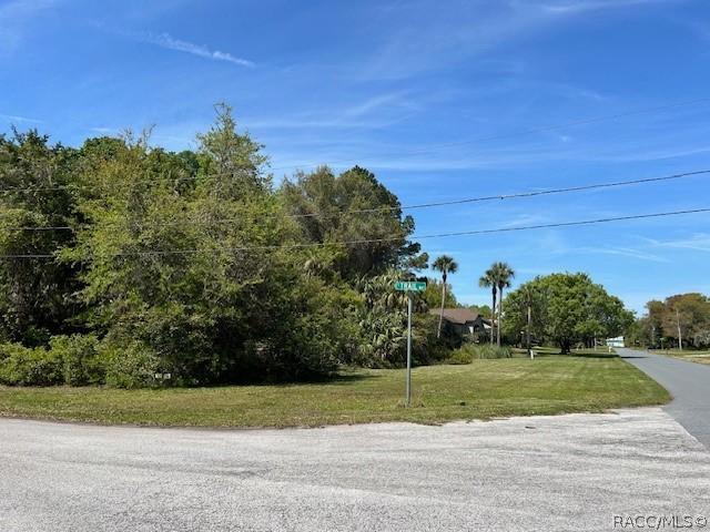 4816 S Trail Way, Homosassa, FL 34448 - photo 4