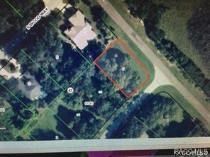 4816 S Trail Way, Homosassa, FL 34448 - photo 2