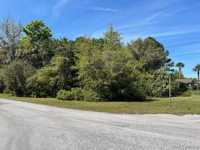 4816 S Trail Way, Homosassa, FL 34448 - photo 3