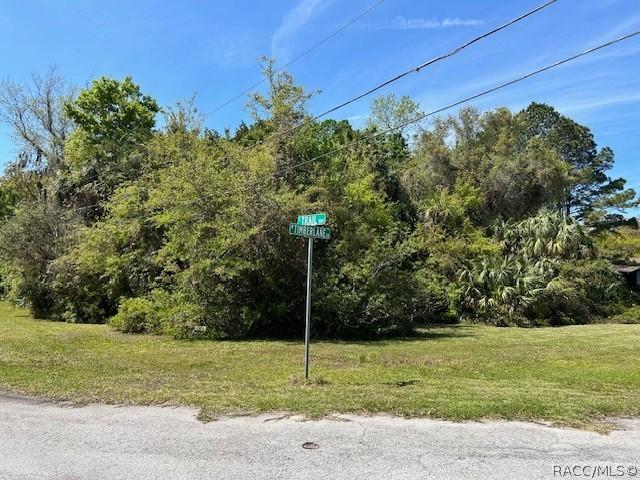 4816 S Trail Way, Homosassa, FL 34448 - photo 1