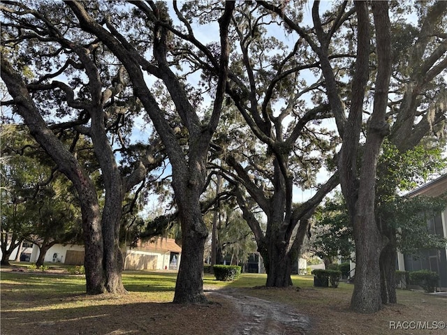 exterior space featuring a yard