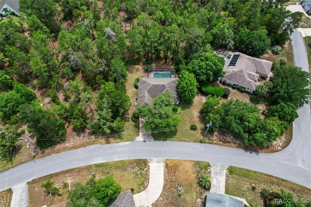 28 Grass St, Homosassa, FL 34446 - photo 46