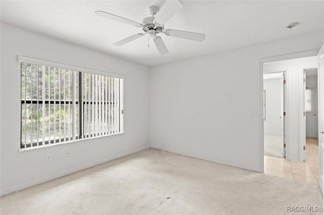 28 Grass St, Homosassa, FL 34446 - photo 30