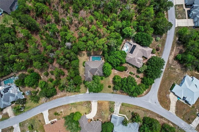 28 Grass St, Homosassa, FL 34446 - photo 49