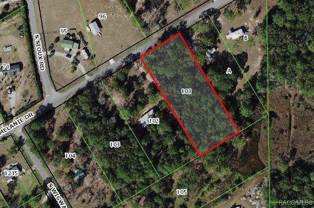 1939 S Melanie Dr, Homosassa FL, 34448 land for sale