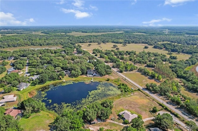 9885 E Lindale Ct, Inverness, FL 34450 - bird's eye view of a nearby body of water and a forest