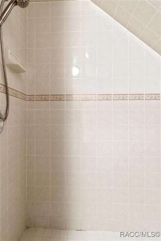 9885 E Lindale Ct, Inverness, FL 34450 - full bath with tiled shower