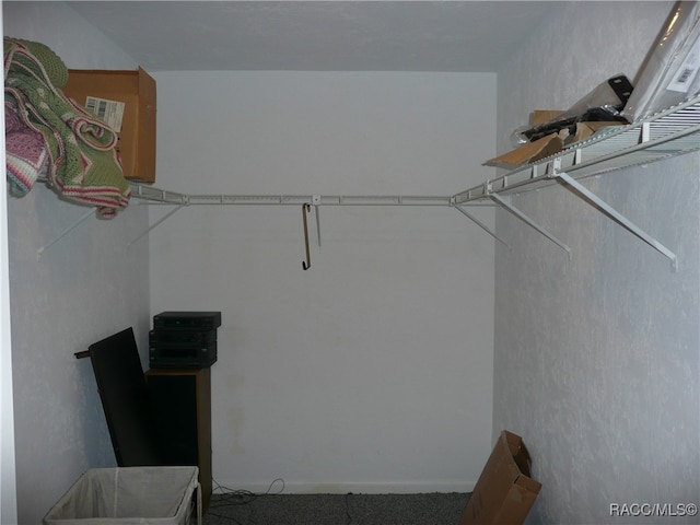 walk in closet featuring dark colored carpet