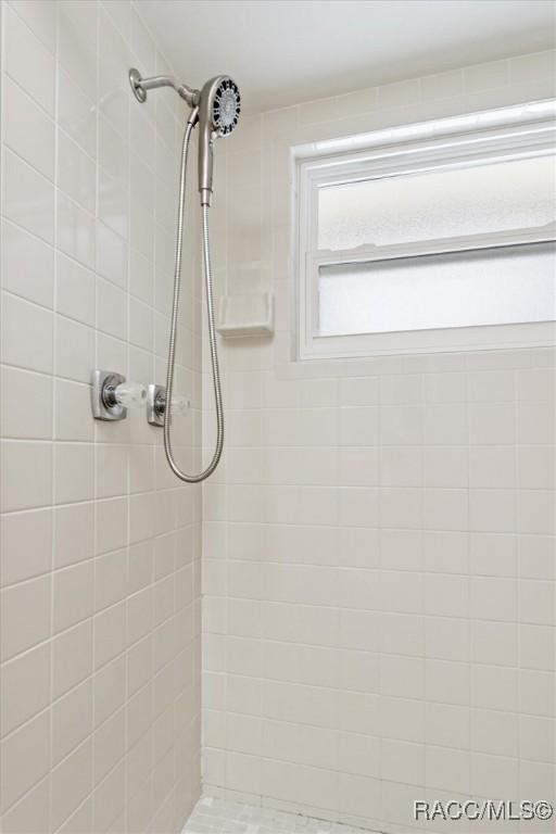 520 S Jefferson St, Beverly Hills, FL 34465 - bathroom with tiled shower