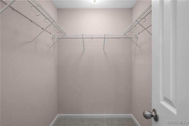 8880 N Circular Way, Citrus Springs, FL 34434 - spacious closet with carpet floors