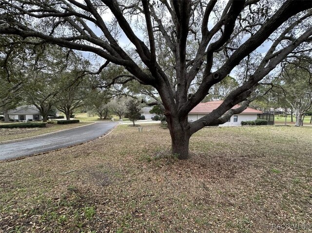 3667 W Treyburn Path, Lecanto, FL 34461