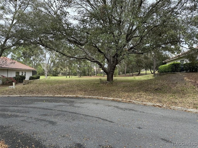 3667 W Treyburn Path, Lecanto, FL 34461