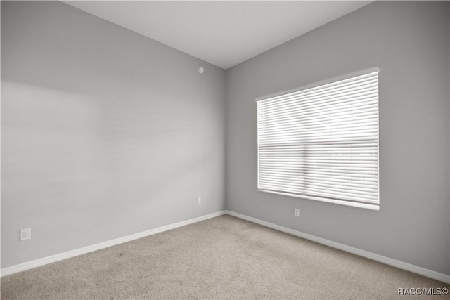 891 NW 44th Street Rd, Ocala, FL 34475 - photo 26