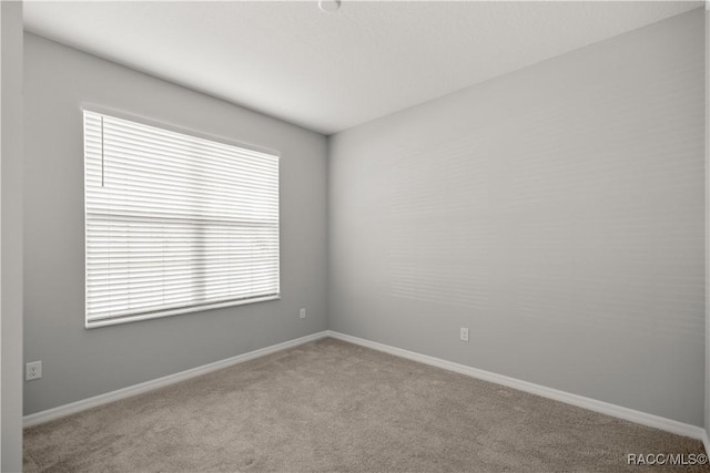 891 NW 44th Street Rd, Ocala, FL 34475 - photo 17