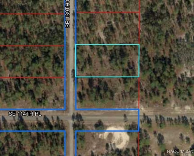 TBD Se 139th Court, FL, 34432 land for sale