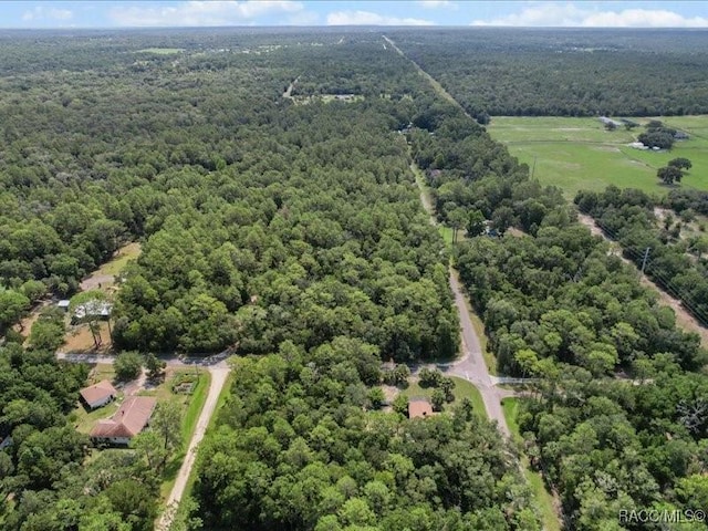 10049 N Sun City Ter, Dunnellon, FL 34433 - photo 2