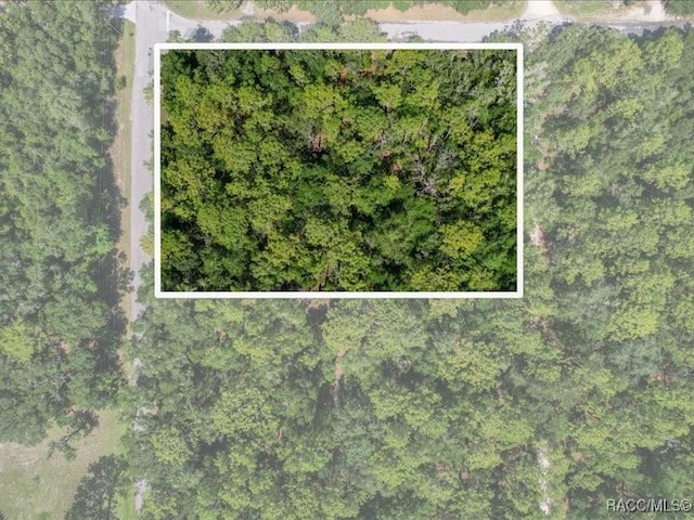 10049 N Sun City Ter, Dunnellon, FL 34433 - photo 1
