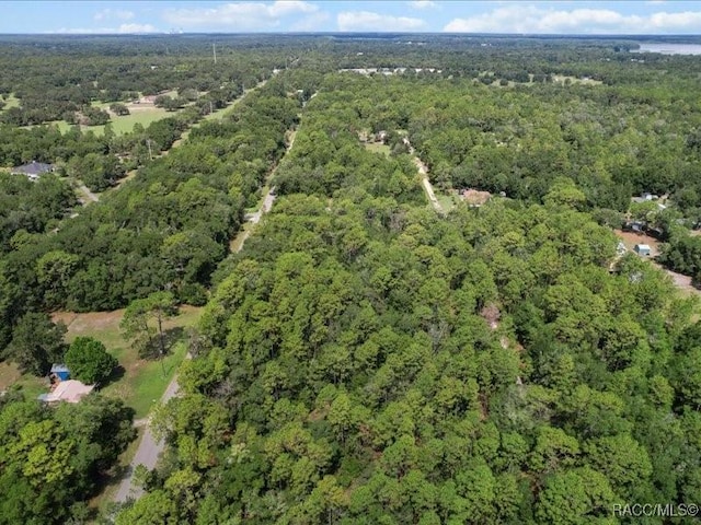10049 N Sun City Ter, Dunnellon, FL 34433 - photo 7