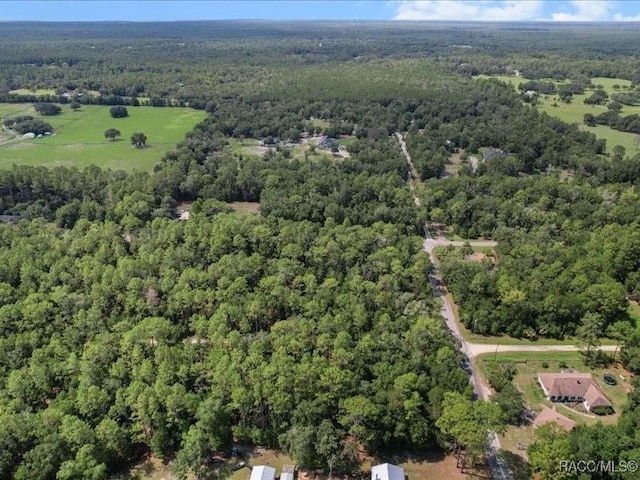 10049 N Sun City Ter, Dunnellon, FL 34433 - photo 9