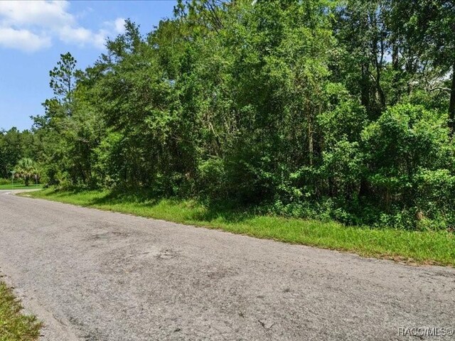 10049 N Sun City Ter, Dunnellon, FL 34433 - photo 11