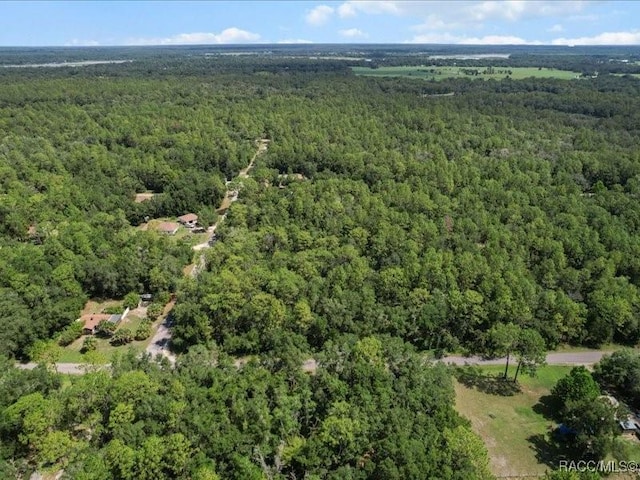 10049 N Sun City Ter, Dunnellon, FL 34433 - photo 12