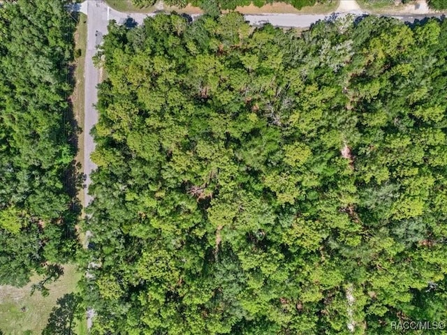 10049 N Sun City Ter, Dunnellon, FL 34433 - photo 8