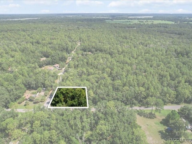 10049 N Sun City Ter, Dunnellon, FL 34433 - photo 10