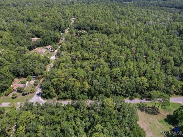 10049 N Sun City Ter, Dunnellon, FL 34433 - photo 5