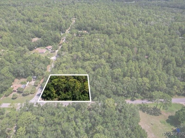 10049 N Sun City Ter, Dunnellon, FL 34433 - photo 6