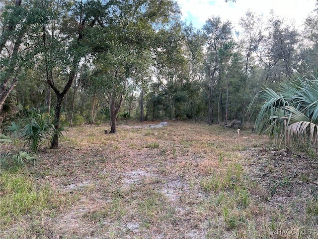 8236 W Catrina Ln, Crystal River, FL 34428 - photo 8