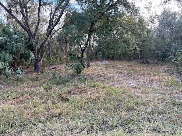 8236 W Catrina Ln, Crystal River, FL 34428 - photo 4