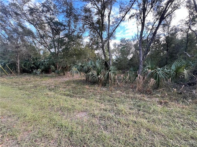 8236 W Catrina Ln, Crystal River, FL 34428 - photo 6