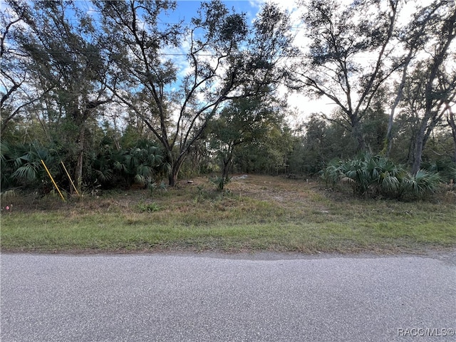 Listing photo 2 for 8236 W Catrina Ln, Crystal River FL 34428