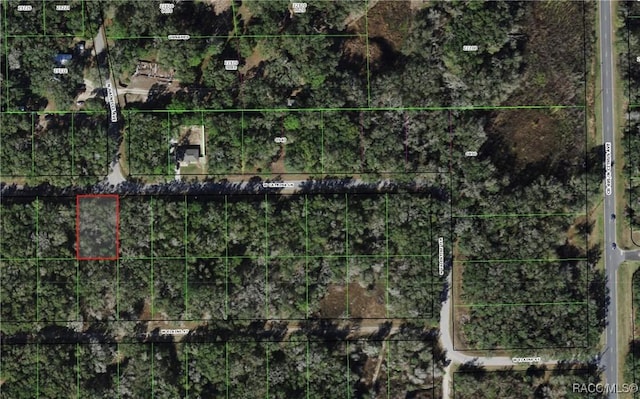 8236 W Catrina Ln, Crystal River, FL 34428 - photo 12