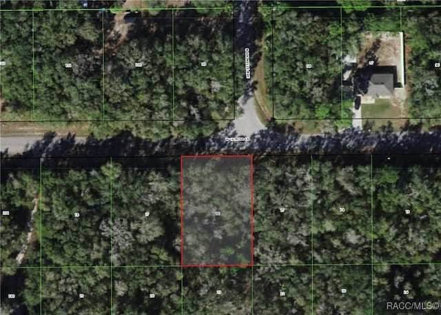 8236 W Catrina Ln, Crystal River FL, 34428 land for sale