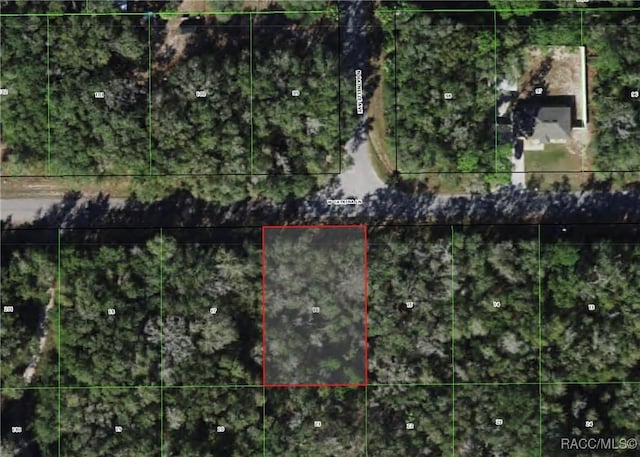 8236 W Catrina Ln, Crystal River, FL 34428 - photo 1