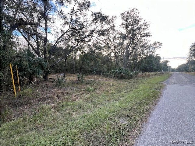8236 W Catrina Ln, Crystal River, FL 34428 - photo 5