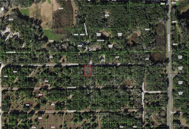 8236 W Catrina Ln, Crystal River, FL 34428 - photo 11