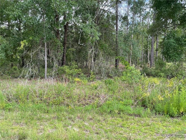 LOT3 NW Falcon Ave, Dunnellon, FL 34431 - photo 1