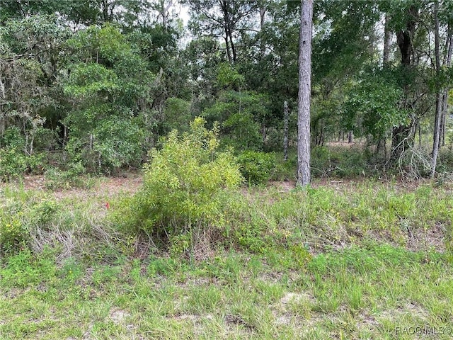 LOT3 NW Falcon Ave, Dunnellon, FL 34431 - photo 3