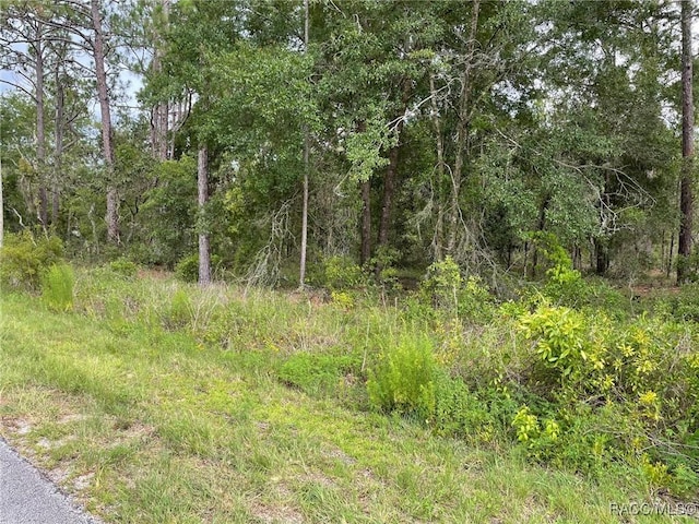 LOT3 NW Falcon Ave, Dunnellon, FL 34431 - photo 2
