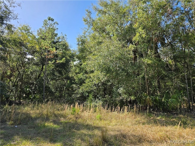 14954 W River Rd, Inglis FL, 34449 land for sale