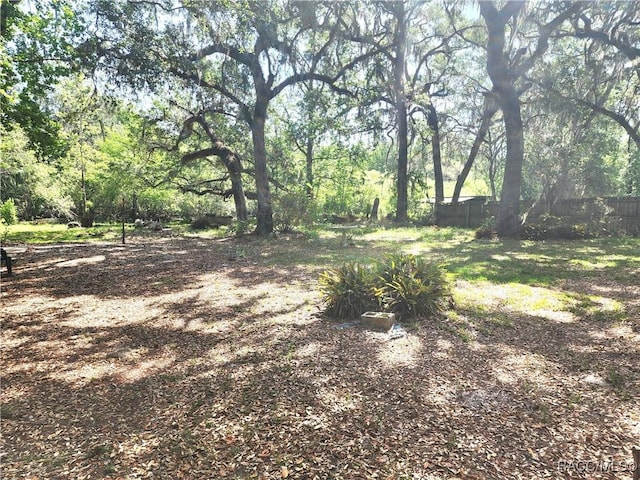 1625 N Oakhaven Ter, Inverness, FL 34453 - photo 21