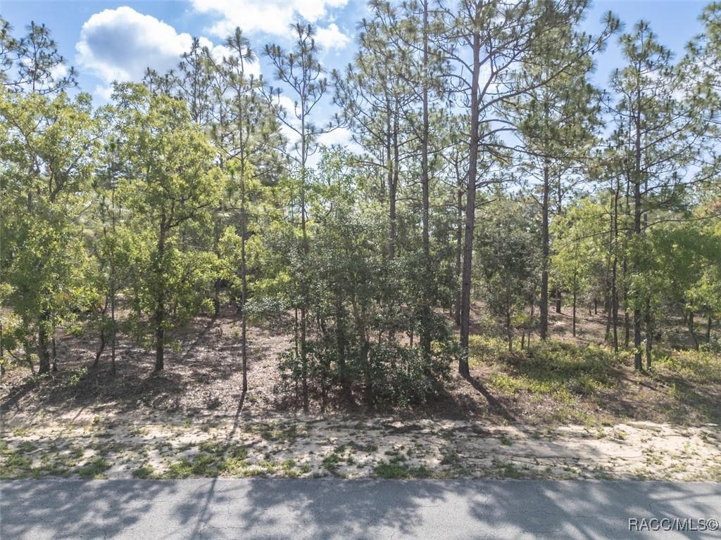 5 Fringetree Ct, Homosassa, FL 34446 - photo 1