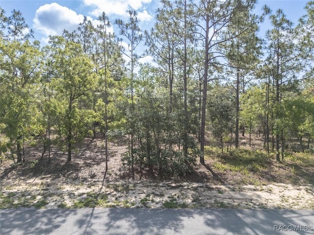 5 Fringetree Ct, Homosassa, FL 34446 - photo 1