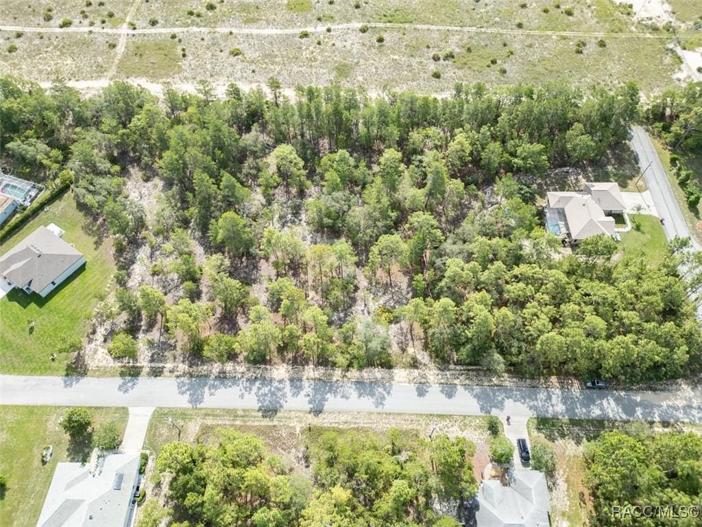 5 Fringetree Ct, Homosassa, FL 34446 - photo 2