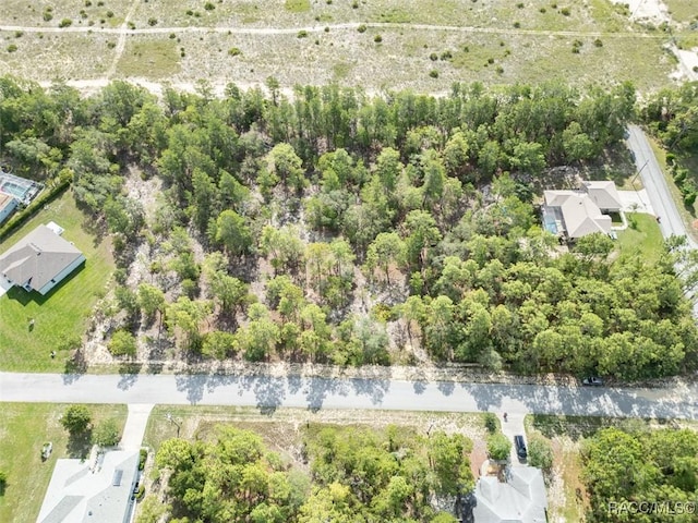 5 Fringetree Ct, Homosassa, FL 34446 - photo 2
