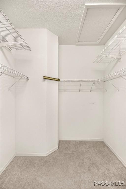 1328 W Diamond Shore Loop, Hernando, FL 34442 - walk in closet with carpet and attic access